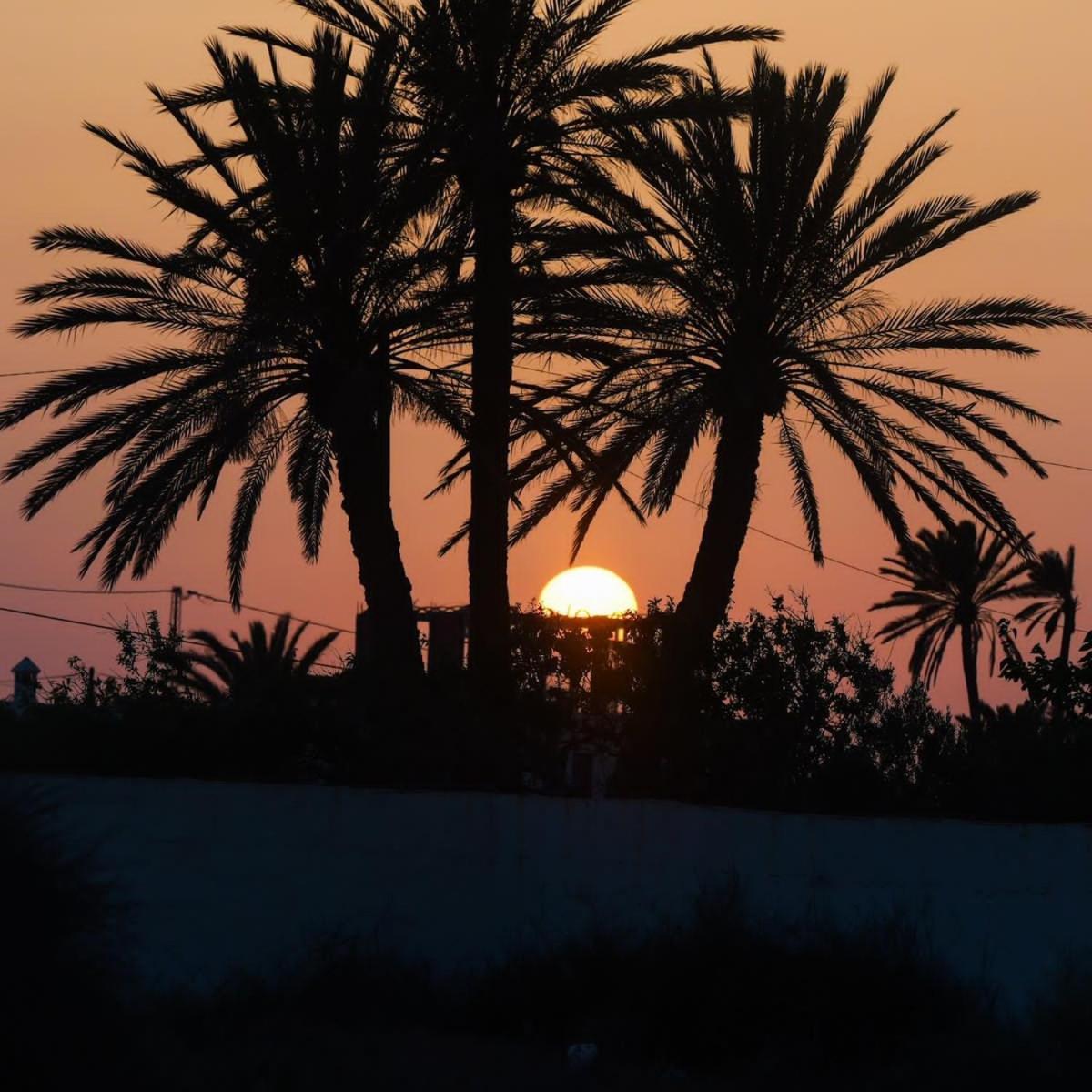 Studio Rouge Cosy A Dar Lili Djerba メズライア エクステリア 写真